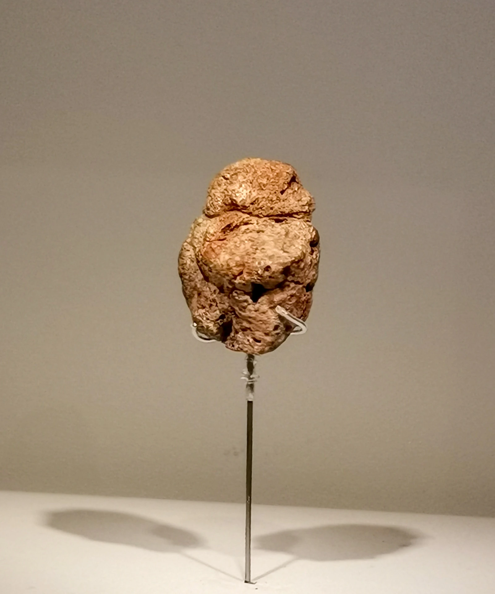 Obiectul de la Berekhat Ram, fotografiat în expunerea de la Israel Museum. Are circa 3,5 cm, dimensiune care nu provine dintr-o scară a fotografiei. Forma de ansamblu nu este suficientă pentru stabilirea sensului simbolic.